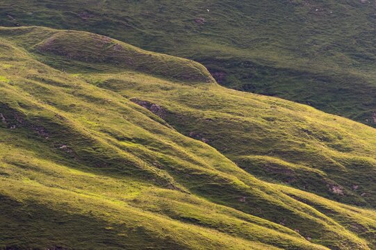 Mountain meadows in Hohe Tauern National Park, Alps, Austria