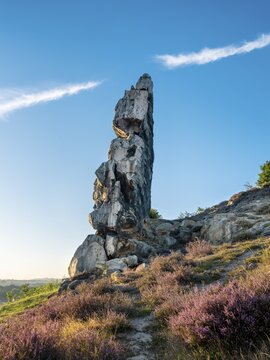 Rock formation and blooming heather, heather blossom in the Teufelsmauer nature reserve, near Weddersleben, Harz, Saxony-Anhalt, Germany