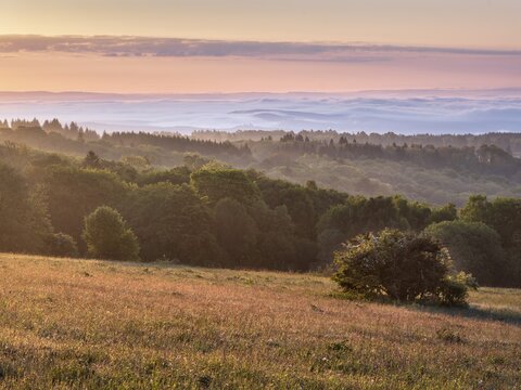 View of Rh&ouml;n countryside with morning fog at sunrise, species-rich mountain meadow and forest, Rh&ouml;n Biosphere Reserve, Bischofsheim in der Rh&ouml;n, Lower Franconia, Bavarian Rh&ouml;n, Bavaria, Germany