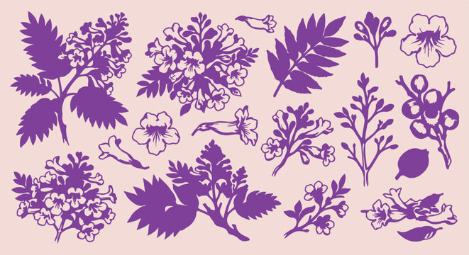 Purple Hydrangea Floral Clusters, Hand Drawn Hydrangea Flower Line Art, Botanical Floral Seamless Pattern, Garden Blossom Vector Illustration, Romantic Floral Doodle Background, Vintage Botanical Sket