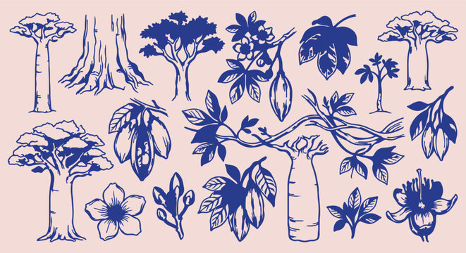 African Baobab Trees & Plants, Hand Drawn Baobab Trunk Line Art, African Safari Flora Seamless Pattern, Botanical Exotic Tree Vector Illustration, Savanna Nature Doodle Background, Vintage Baobab Sket