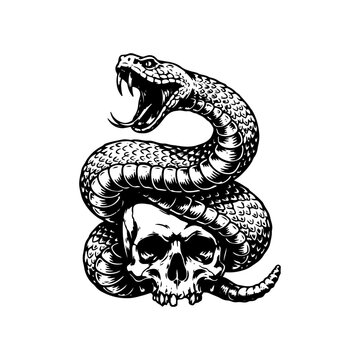 A black and white engraving-style illustration of a venomous snake coiled around a human skull with an open mouth showing fangs, isolated on a white background.