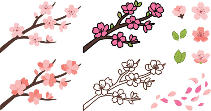 Cherry blossom branch vector set with pink sakura flowers flying petals and outline design elements for spring decoration