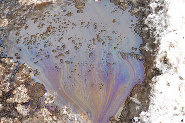 Obraz premium Iridescent oil film on melting puddle water, chemical spill pattern reflecting rainbow colors on dirty spring snow, urban environmental pollution concept, hazardous liquid waste on asphalt