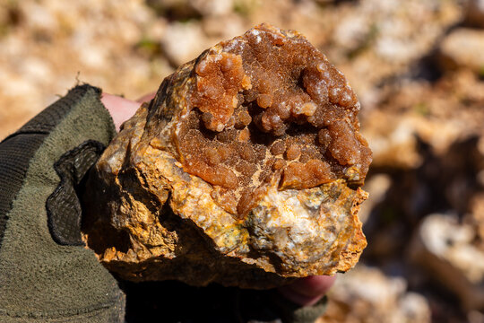 Shiny quartz druzy with botryoidal chalcedony formations on raw flint stone held in hand by a mineral collector at an open pit mining quarry site