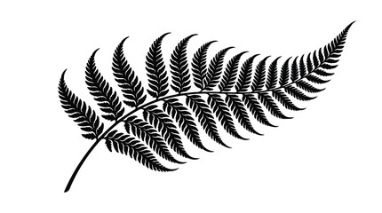 Black fern leaf on white © Jerin