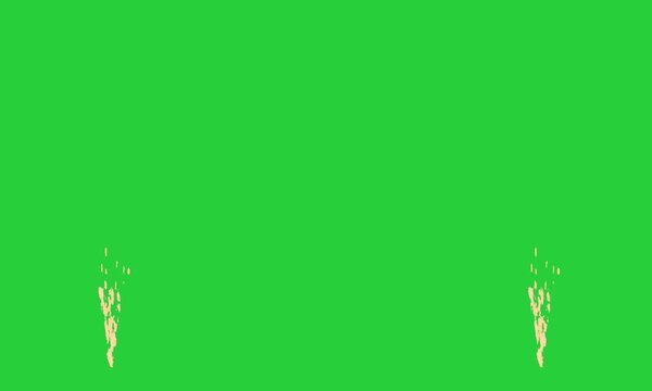Animated festive fireworks background