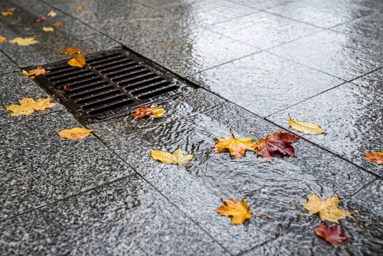 Wet granite sidewalk tiles with puddles draining into a storm grate and scattered autumn leaves. Rainy weather concept.

