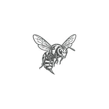 Angry Hornet Bee Vector Mascot Illustration