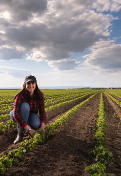 Young female farmer inspecting young soybean crop under dramatic cloudy sky