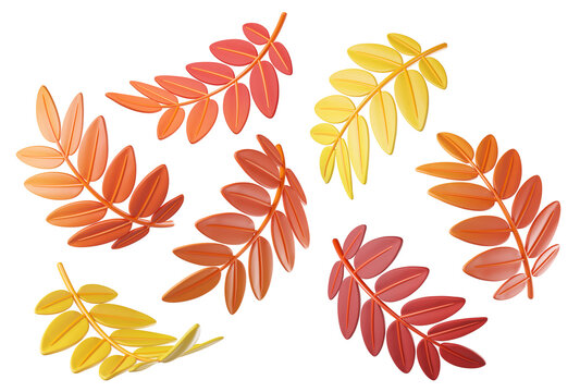 Set of colorful 3D fall autumn rowan leaves in orange, red and yellow colors isolated on background. Foliage elements for seasonal design, autumn decoration, harvest graphics, Halloween, Thanksgiving 