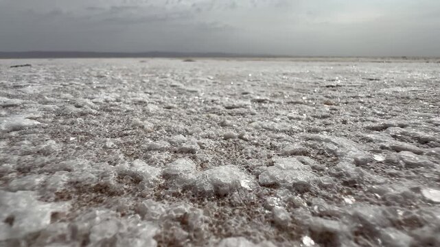 Crystalline salt clusters cover the flat ground of Chott el Djerid under hazy daylight, Tunisia.
