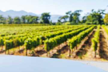Obraz premium Empty table in sunlit vineyard mockup