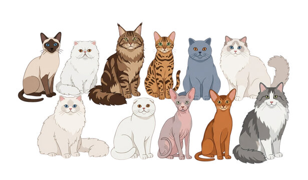 Professional Collection of Diverse Cat Breed Vector Illustrations for International Cat Day
&lrm;
