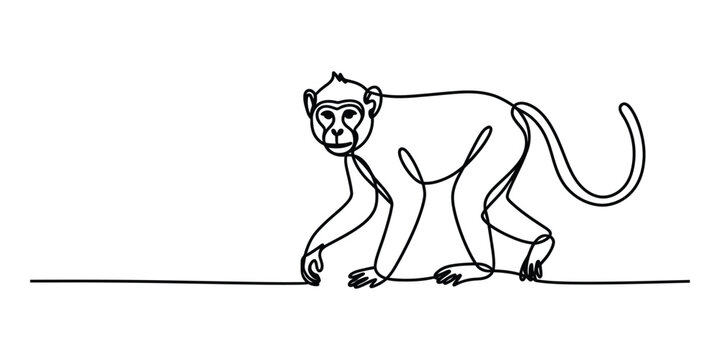 Continuous single line drawing of a monkey walking