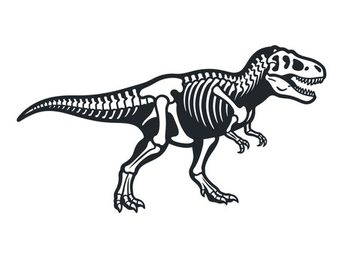 Tyrannosaurus rex skeleton graphic for paleontology and education