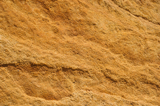 Golden sandstone rock texture close up background