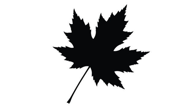 Black maple leaf icon