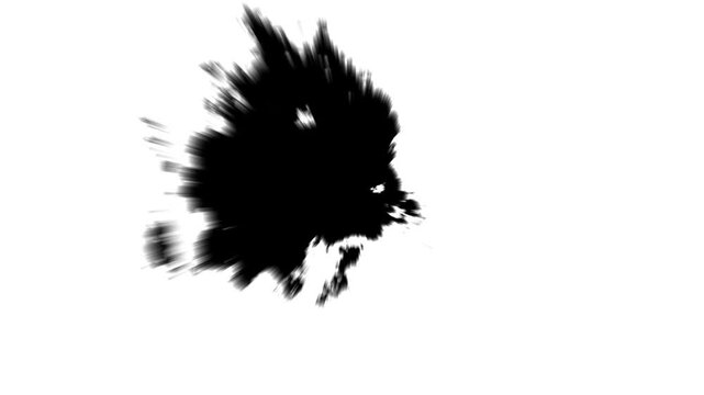 Abstract black and white ink burst transition with watercolor splatter, flowing brush strokes, fluid art overlay, organic ink bloom, alpha matte reveal, cinematic expanding stain 4K footage