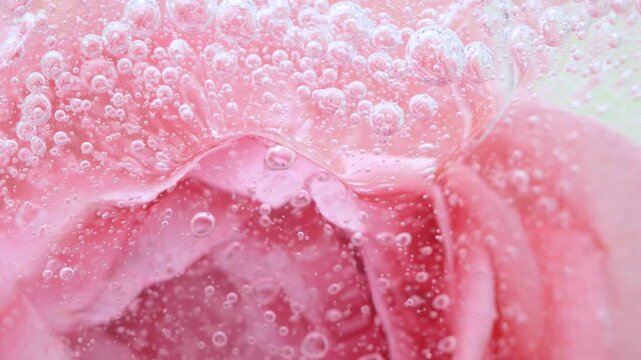 Pink serum gel background, cream, shampoo, macro soap bubbles, foam texture