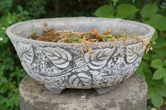 Concrete garden planter with embossed leaf pattern in the garden