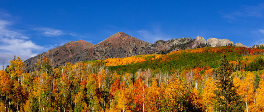 Beckwith Mountain Colorado autumn landscape showcasing colorful aspen trees
