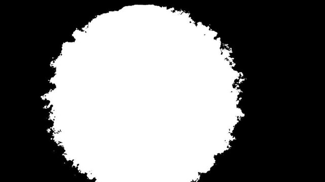 Abstract black ink flowing downward into white background, organic watercolor bleed transition, fluid paint splatter reveal, cinematic ink bloom, alpha matte overlay, seamless 4K motion graphic