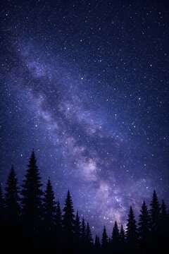 Night sky above pine forest silhouettes with visible milky way and deep blue purple gradient, spacious background for text