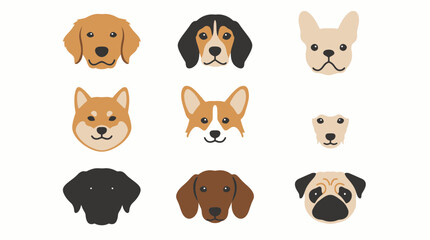 Fototapeta premium Flat vector illustration set of various cute dog breed heads and faces on a white background
