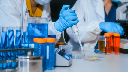 Fototapeta premium Scientists in a lab use a pipette on a petri dish beside test tubes and sample containers with blue liquid, showing medical research, testing and teamwork.
