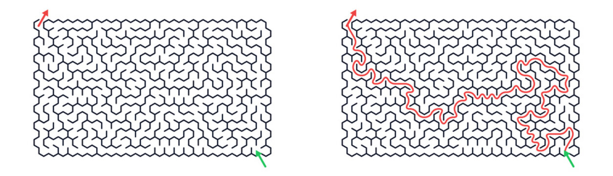 Maze illustration with solution path marked in red and green  