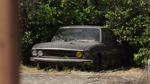 A dusty vintage sedan sits abandoned in an overgrown garden surrounded by dense green vegetation in Greece.