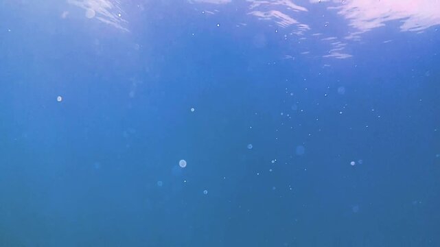 underwater world map. air bubbles underwater. waves, sunlight
