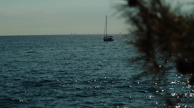 A sailboat moves across calm blue sea under bright daylight, with sunlight sparkling on the water and blurred coastal branches framing the peaceful marine scene.