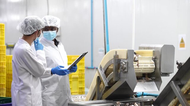 Two quality control inspectors monitoring fresh fish on conveyor belt inside seafood processing factory. Quality assurance team checking raw materials, food safety standards, and production quality