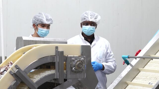 Two quality control inspectors inspecting fresh fish moving along conveyor system in seafood processing plant. Professional quality assurance ensuring food safety, hygiene compliance manufacturing