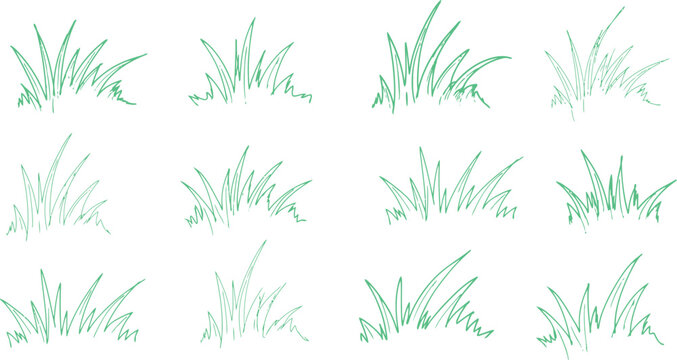Green grass patches set. Hand drawn meadow vegetation elements for landscape design.
