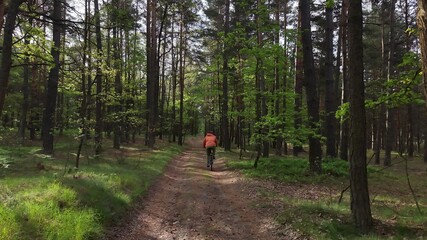 Fototapeta premium Young person cycling on bicycle path surrounded by green forest