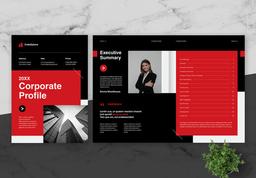 Red And Black Company Profile