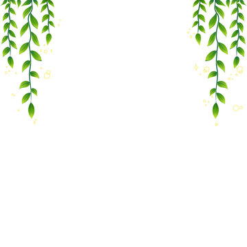 Bingkai Atas Tanaman Rambat Hijau (Hanging Vine Leaf Border)