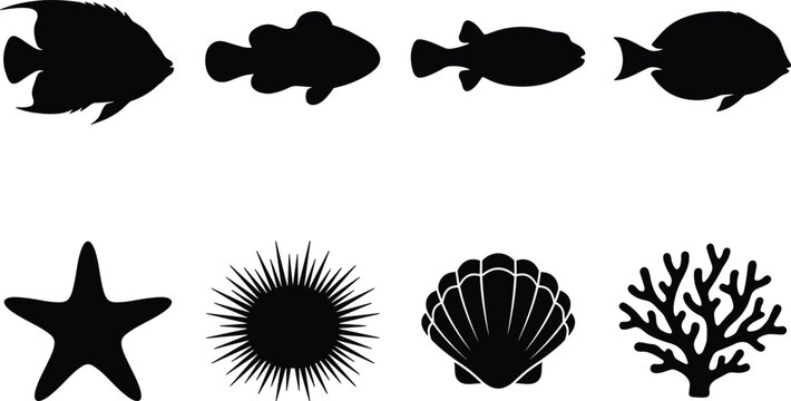 Marine life vector silhouette icons set featuring tropical reef fish starfish sea urchin scallop shell and coral structures on white background