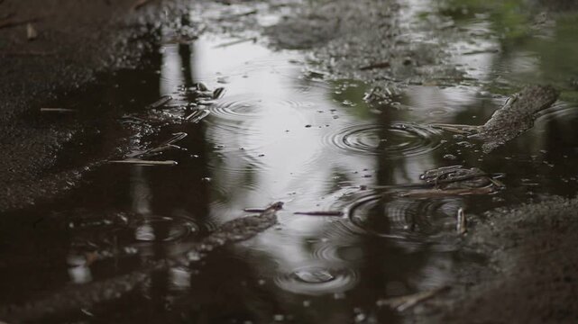 Raindrops falling into a water puddle on the ground creating ripples. Moody and calm rainy season background at an outdoor campsite.
