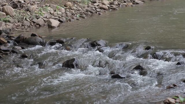 Natural stream water flowing over rocks and pebbles in a forest creek. Dynamic white water rapids in rainy season landscape.