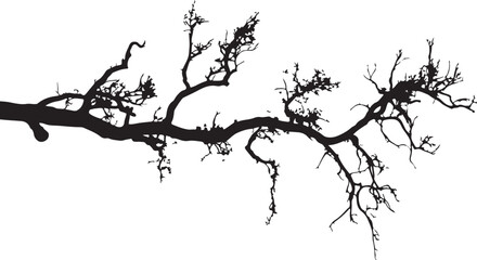 Fototapeta premium Dry Tree Branch Vector Shape Design