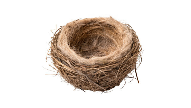 Small round twigs empty bird nest forest asset isolated on transparent background