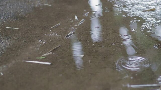Raindrops falling into a shallow water puddle on dirty ground creating ripples and light reflections. Moody rainy day background.
