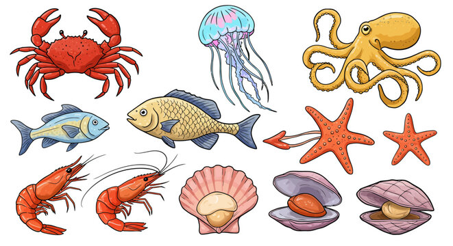 Seafood ocean creatures collection 6.