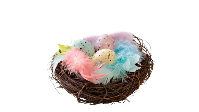 Small round twins twigs bird nest colorful easter eggs isolated on transparent background
