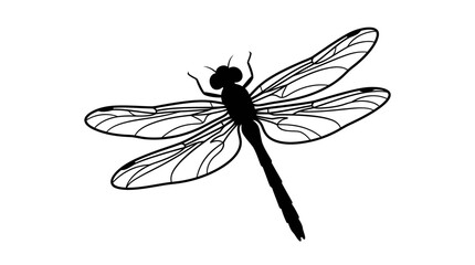 Dragonfly Silhouette Against A White Background Detailed Wing Veins © Creator Rima Akter