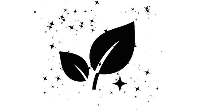 Black Leaf Silhouette with Sparkling Stars Motion Graphic on White Background